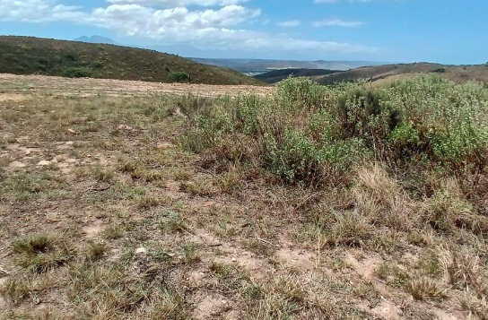 0 Bedroom Property for Sale in Mossel Bay Rural Western Cape